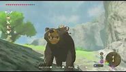 Breath of the Wild: How to Ride a Bear