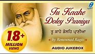 Tu Kaahe Doley Praniya - By Renowned Ragis - Shabad Gurbani Kirtan Live - Latest Shabad Kirtan