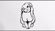 Beginners how to draw a lop eared bunny rabbit