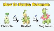 How To Evolve Pokémon - Generation 2 Johto (Animated Sprites)