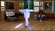 Tai Chi 24 Form (Back View with Instructions)