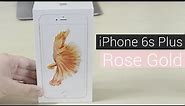 iPhone 6s Plus Rose Gold - Unboxing & First Look!
