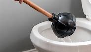 Your Guide the Different Types of Drain Plungers