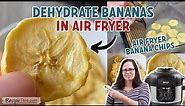 Dehydrate Bananas In The Air Fryer (Ninja Foodi Method)