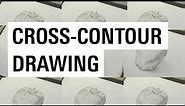 How to Cross Contour Draw with an Apple | Otis College of Art and Design