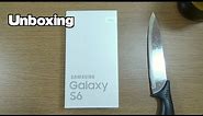 Samsung Galaxy S6 - Unboxing & First Look!