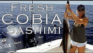 FRESH COBIA SASHIMI in MINUTES! Make your OWN SASHIMI with your choice of white meat fish!