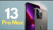 iPhone 13 Pro Max 2024 REVIEW