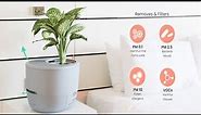 Urbie Air: The most eco-friendly air purifier