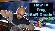 How To Frag Soft Corals