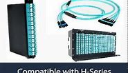 Skinny-Trunk® 24 by CABLExpress® - Comprehensive Fiber Optic Cabling Solution