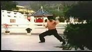 Hung Gar Kung Fu- The Tiger Crane Form