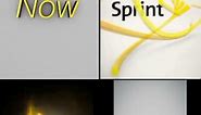 which sprint logo is better