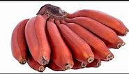 The Real Difference Between Red And Yellow Bananas