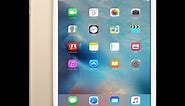 Apple iPad mini 4 Price, Features, Review