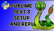 How to Setup Sublime Text 3 with Python and interactive mode - SublimeREPL