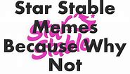 Star Stable Memes That Will Make You Cry (And Not From Laughter)