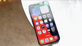 iPhone 12 Mini In Mid 2023! (Review)