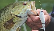 Hot Spots: Best Lake Erie Fishing in Central Basin - Game & Fish