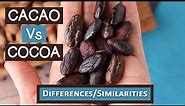 Cacao Vs Cocoa, Top 6 Differences and Similarities