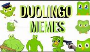 DUOLINGO Memes (You skip your Spanish lesson today)