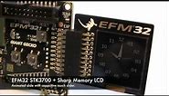 EFM32 Cortex-M3 + Sharp memory LCD animation and slider demonstration