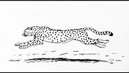 How to draw a cheetah running step by step