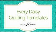 Good Measure Every Daisy Quilting Templates by Amanda Murphy for Brewer Sewing