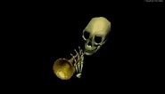 Skull Trumpet Tylenol 10 Hours