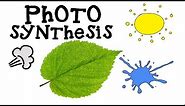 Photosynthesis for Kids - How plants make food - Animation Science