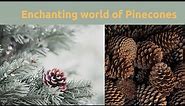 Unveiling the Pinecone: Symbols and Significance