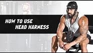 How to Use Head Harness | Neck Training | DMoose