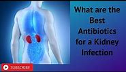 What are the Best Antibiotics for a Kidney Infection
