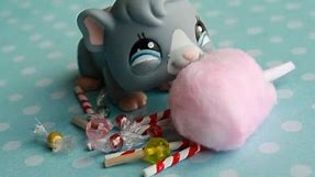 How to Make Sweets and Treats for Your Dolls and LPS - Doll Crafts