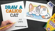 Draw a CALICO CAT