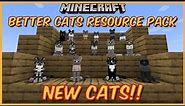 Minecraft New Cats!! (Better Cats Resource Pack) 1.20+