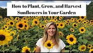 How to Plant, Grow & Harvest Sunflowers in Your Garden 🌻