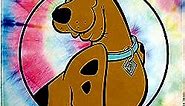 INTIMO Scooby Doo Where are You? Tie-Dye Silk Touch Throw Blanket