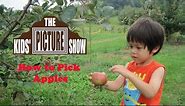 How to Pick Apples - The Kids' Picture Show (Fun & Educational Learning Video)