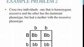 Punnett square practice problems (simple)