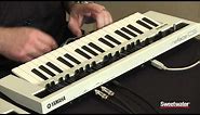 Yamaha Reface CS Synthesizer Demo by Sweetwater