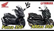 Honda Forza 350 vs Yamaha XMAX 300 |Comparison |TM