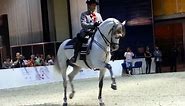 Andalusian Dancing Horse at DIAHS