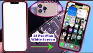iPhone 13 Pro Max White Screen | How To Fix iPhone 13 Pro Max Screen