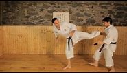 How to Do Side Kicks | Karate Lessons