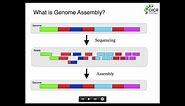 Fundamentals of Genome Assembly