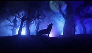 Wolf Howling at the Moon | Worldwide Howl at the Moon Night