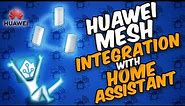 Huawei Mesh Integration with Home Assistant