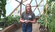 42' Growing Dome Geodesic Greenhouse Tour