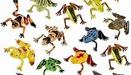 Plastic Frogs Toy Mini Vinyl Realistic Frog Toy Decorations Frogs Fun Rain Forest Character Toys Realistic Frog Figures Lifelike Toy for Crafting Party Supplies Home Decor Game(24 Pieces)